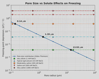 Pore size versus solute effects on freezing