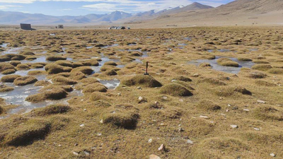 Permafrost Readings for Beginners featured image